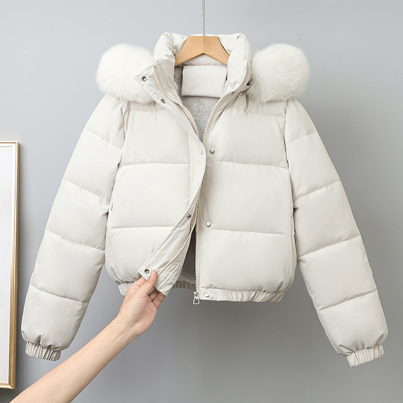 Parka Pendek Musim Dingin Paka - Wool Coat Peacoat ulasan dan harga